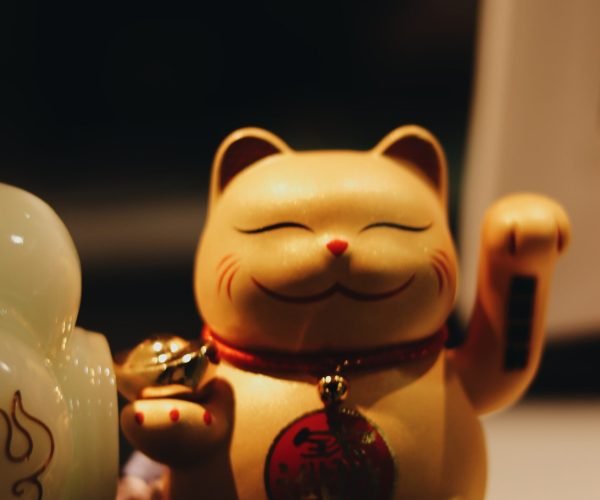 WhatsApp Image 2025-10-21 at 21.30.08_36b9d4c4 - Copy